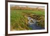 Spring Fields-Michael Budden-Framed Giclee Print