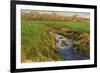 Spring Fields-Michael Budden-Framed Giclee Print