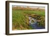 Spring Fields-Michael Budden-Framed Giclee Print