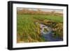 Spring Fields-Michael Budden-Framed Giclee Print