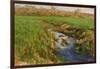 Spring Fields-Michael Budden-Framed Giclee Print