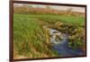 Spring Fields-Michael Budden-Framed Giclee Print