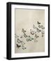 Spring Flight I-Deborah Devellier-Framed Art Print