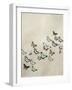 Spring Flight I-Deborah Devellier-Framed Art Print