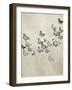 Spring Flight II-Deborah Devellier-Framed Art Print