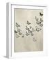 Spring Flight II-Deborah Devellier-Framed Art Print