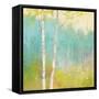 Spring Fling I-Julia Purinton-Framed Stretched Canvas