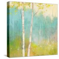 Spring Fling I-Julia Purinton-Stretched Canvas