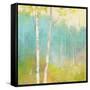 Spring Fling I-Julia Purinton-Framed Stretched Canvas