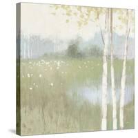 Spring Fling II Cool-Julia Purinton-Stretched Canvas