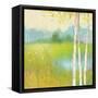 Spring Fling II-Julia Purinton-Framed Stretched Canvas