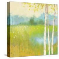 Spring Fling II-Julia Purinton-Stretched Canvas