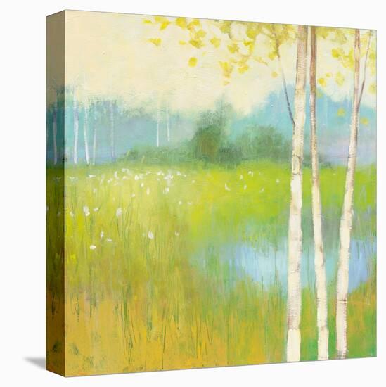Spring Fling II-Julia Purinton-Stretched Canvas