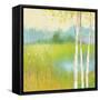 Spring Fling II-Julia Purinton-Framed Stretched Canvas