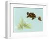 Spring Fling - Trutle and Snail-Peggy Harris-Framed Giclee Print