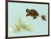 Spring Fling - Trutle and Snail-Peggy Harris-Framed Giclee Print