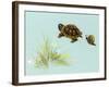 Spring Fling - Trutle and Snail-Peggy Harris-Framed Giclee Print