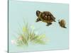 Spring Fling - Trutle and Snail-Peggy Harris-Stretched Canvas