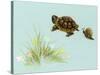 Spring Fling - Trutle and Snail-Peggy Harris-Stretched Canvas