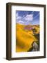 Spring Fling Wildflower Plains - Carrizo Southern California-Vincent James-Framed Photographic Print