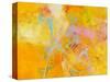 Spring Fling-Aleta Pippin-Stretched Canvas