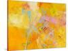 Spring Fling-Aleta Pippin-Stretched Canvas