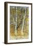 Spring Flood-Carl Larsson-Framed Giclee Print