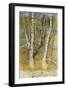 Spring Flood-Carl Larsson-Framed Giclee Print
