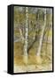 Spring Flood-Carl Larsson-Framed Stretched Canvas