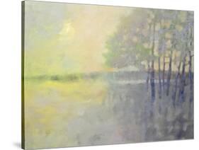 Spring Flood-Pam Hassler-Stretched Canvas