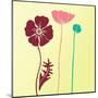 Spring Floral Background-Alisa Foytik-Mounted Art Print