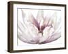 Spring Flourish-Tania Bello-Framed Giclee Print