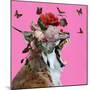 Spring Flower Bonnet on Cat-Sue Skellern-Mounted Photographic Print