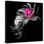 SPRING FLOWER COLLAGE-Linda Arthurs-Stretched Canvas