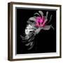SPRING FLOWER COLLAGE-Linda Arthurs-Framed Giclee Print