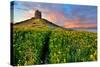 Spring Flower Field with Trail to Castle Tower Bright Vivid Colors Bright Yellow Pasture Colorful S-kikkerdirk-Stretched Canvas