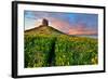 Spring Flower Field with Trail to Castle Tower Bright Vivid Colors Bright Yellow Pasture Colorful S-kikkerdirk-Framed Photographic Print