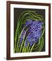 Spring Flower Garden Hyacinths-null-Framed Art Print