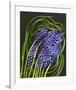 Spring Flower Garden Hyacinths-null-Framed Art Print