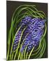 Spring Flower Garden Hyacinths-null-Mounted Art Print