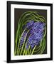 Spring Flower Garden Hyacinths-null-Framed Art Print