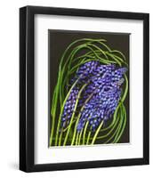 Spring Flower Garden Hyacinths-null-Framed Art Print