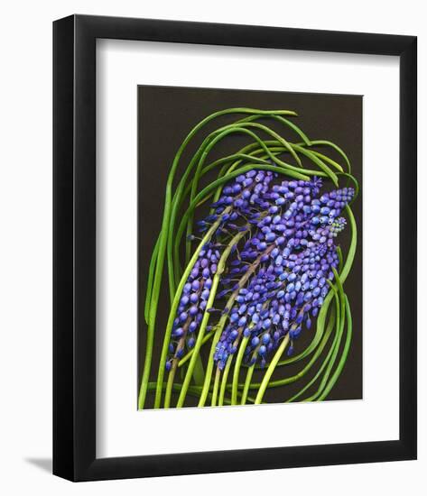 Spring Flower Garden Hyacinths-null-Framed Art Print