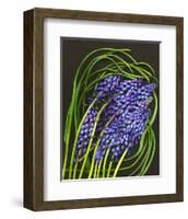 Spring Flower Garden Hyacinths-null-Framed Art Print