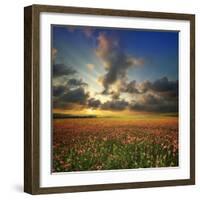 Spring Flower Meadow. Composition of Nature-Oleh Honcharenko-Framed Photographic Print