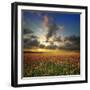 Spring Flower Meadow. Composition of Nature-Oleh Honcharenko-Framed Photographic Print