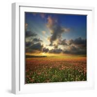 Spring Flower Meadow. Composition of Nature-Oleh Honcharenko-Framed Photographic Print