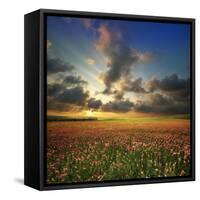Spring Flower Meadow. Composition of Nature-Oleh Honcharenko-Framed Stretched Canvas