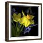 Spring Flowers 1-Magda Indigo-Framed Photographic Print