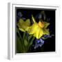 Spring Flowers 1-Magda Indigo-Framed Photographic Print